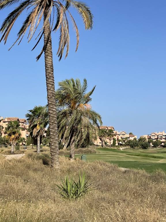 Apartamento  Torre-Pacheco