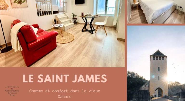 Wonderful rental apartment | Pets are welcome in Cahors
