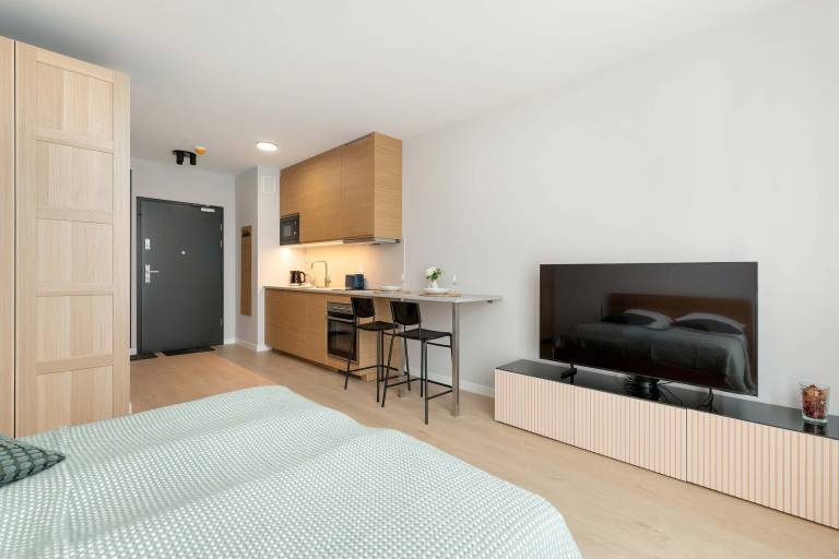 Family-oriented studio with fast internet | Dogs allowed — photo 5