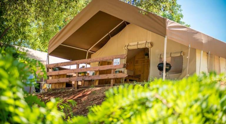 Sunflower Camping in Novigrad