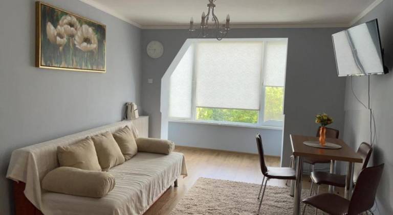 Apartment  Traian Vuia