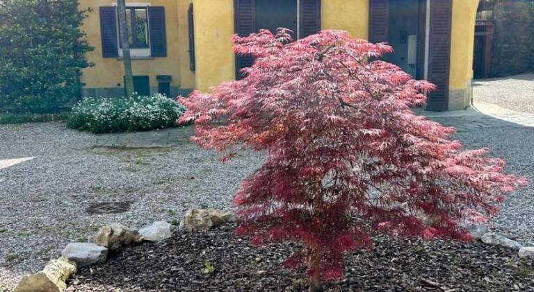 foto7