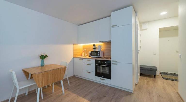 Apartment with 1 room for 4 persons — photo 3