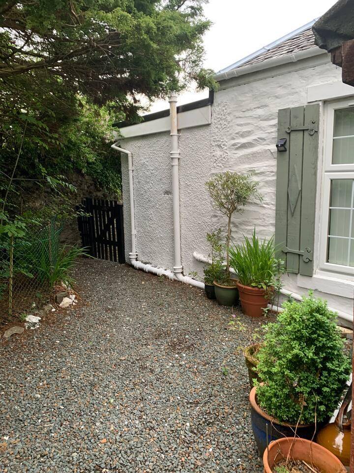 Cedarbank's - The Little Art House - dog friendly — photo 3