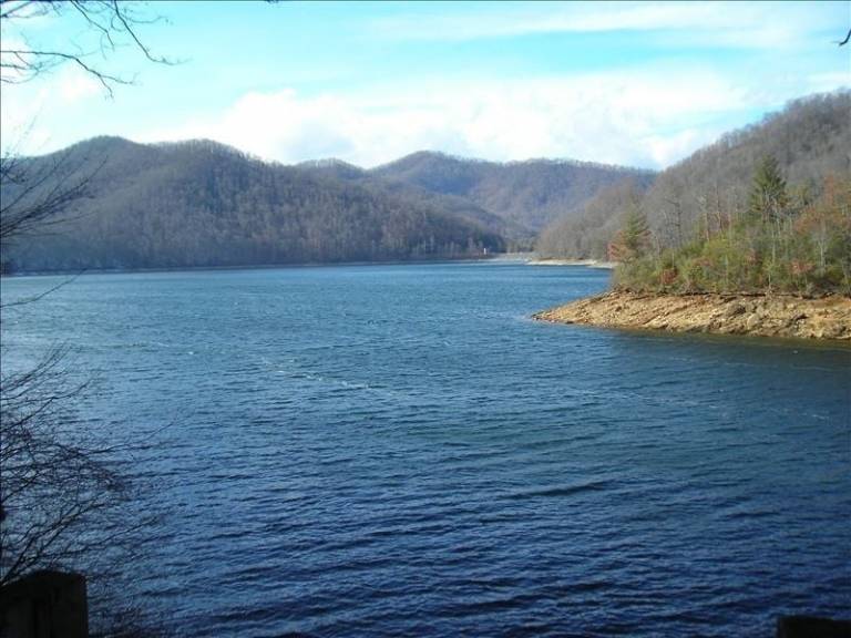 Cabin Nantahala Lake
