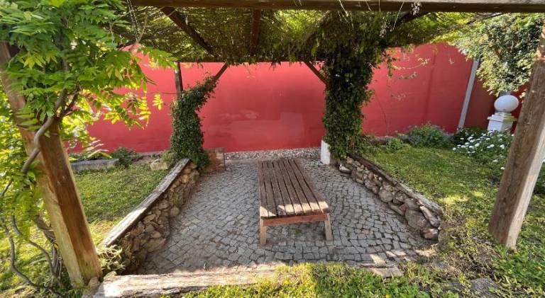 foto16