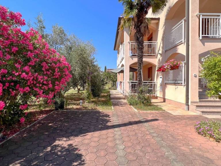 Apartment with barbeque in Novigrad