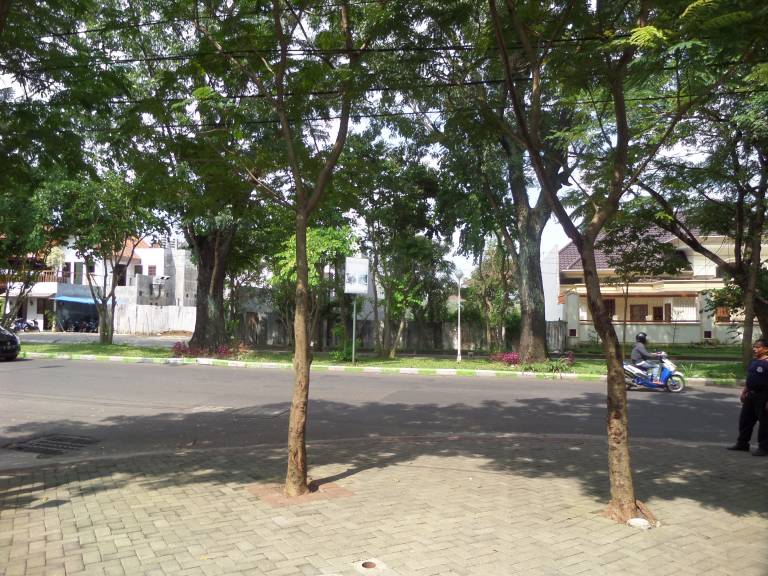 foto18