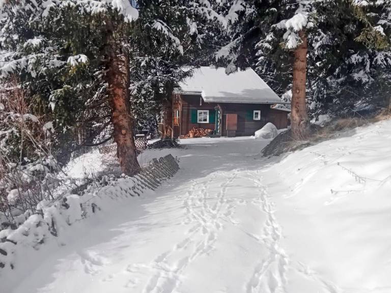 Cabin with yard | Pets are welcome in Lienz