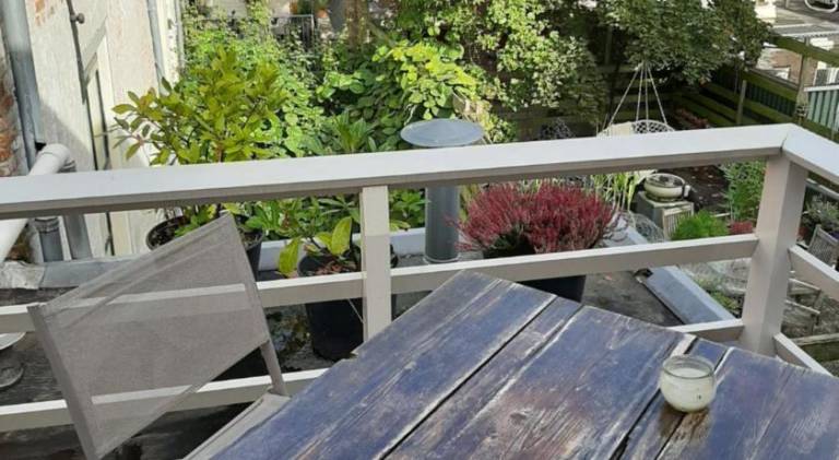 Logement het Herenwaltje — photo 4