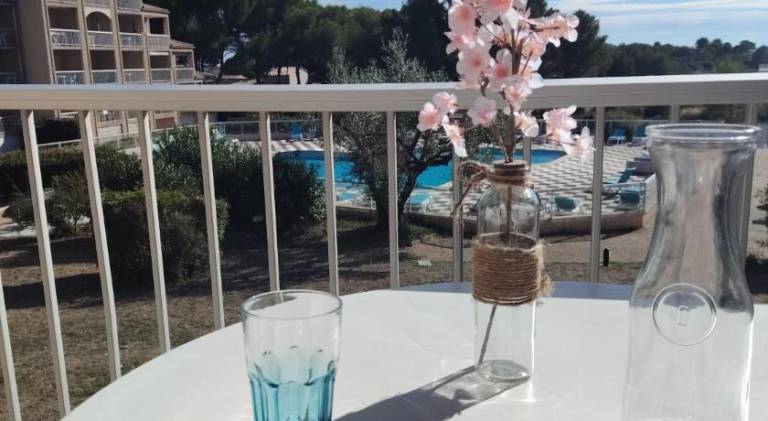 Pleasant holiday apartment with yard, private pool & terrace | Dogs allowed in Balaruc-les-Bains