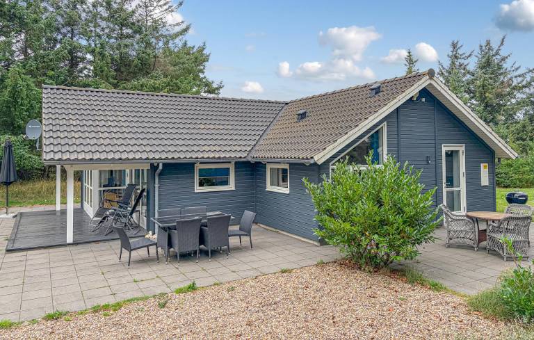 Ferienhaus mit Hund inSønder Vorupør  f&uuml;r max. 6 Personen