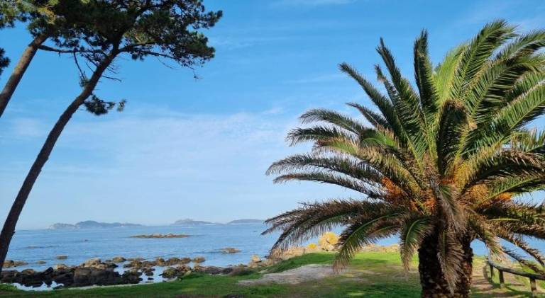 Pleasant rental apartment | Close to the beach | Pet-friendly — photo 5