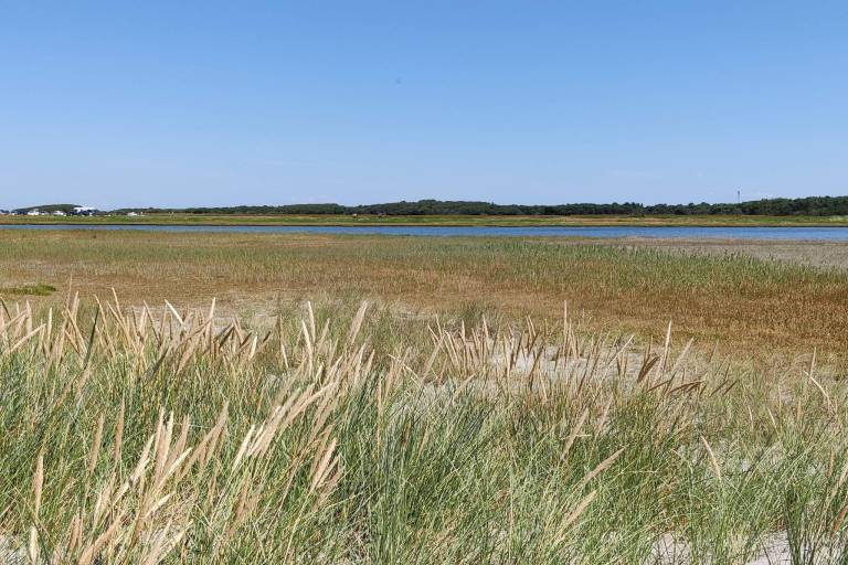 Ferienhaus mit Hund in Læsø, Vesterø Havn für max. 8 Personen