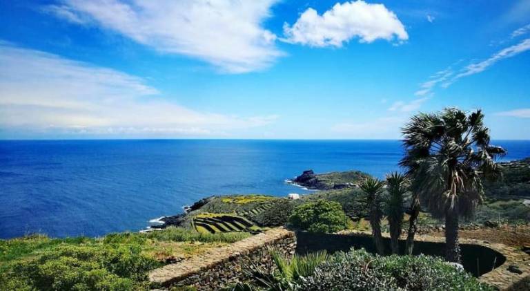 Vacation home | Pets are welcome in Pantelleria
