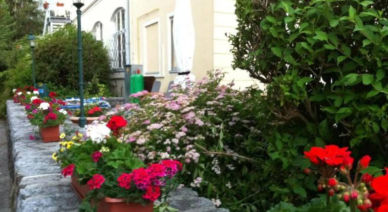 foto20