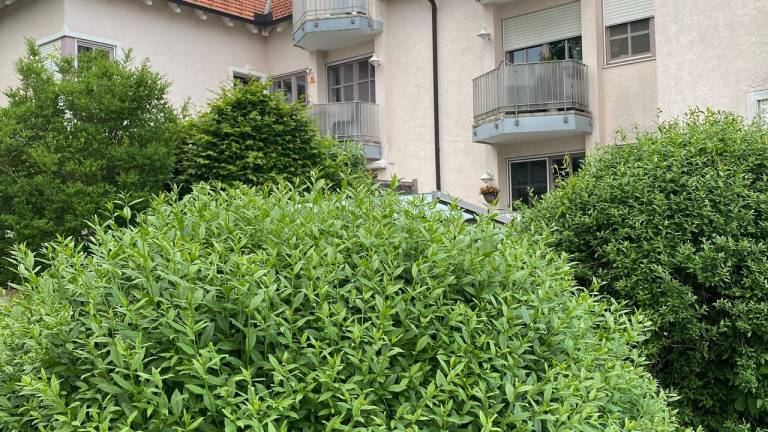 Ferienwohnung  Traunstein