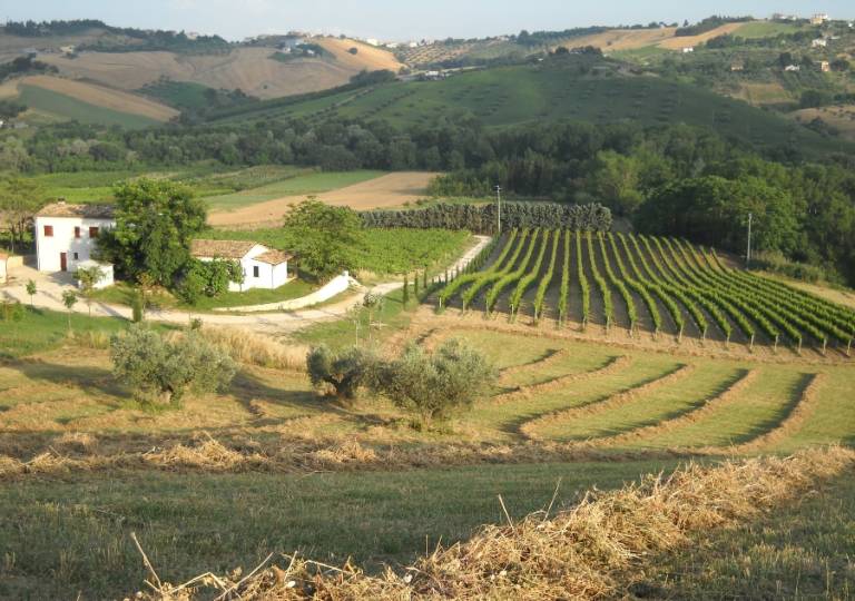 Privatzimmer Città Sant'Angelo