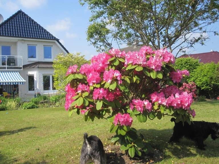 Ferienwohnung Malente