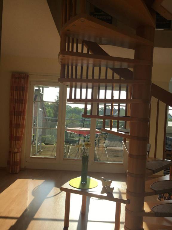 foto6