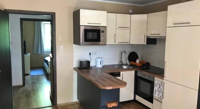 Rental apartment with garden, patio & barbecue in Balatonfured