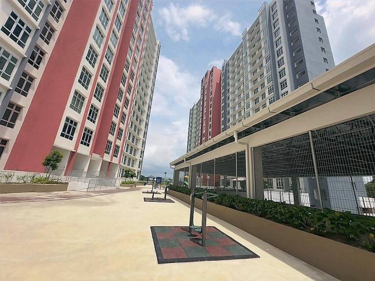 foto12