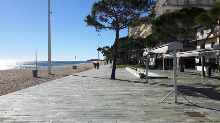Holiday apartment | Close to the beach | Pets allowed — photo 4