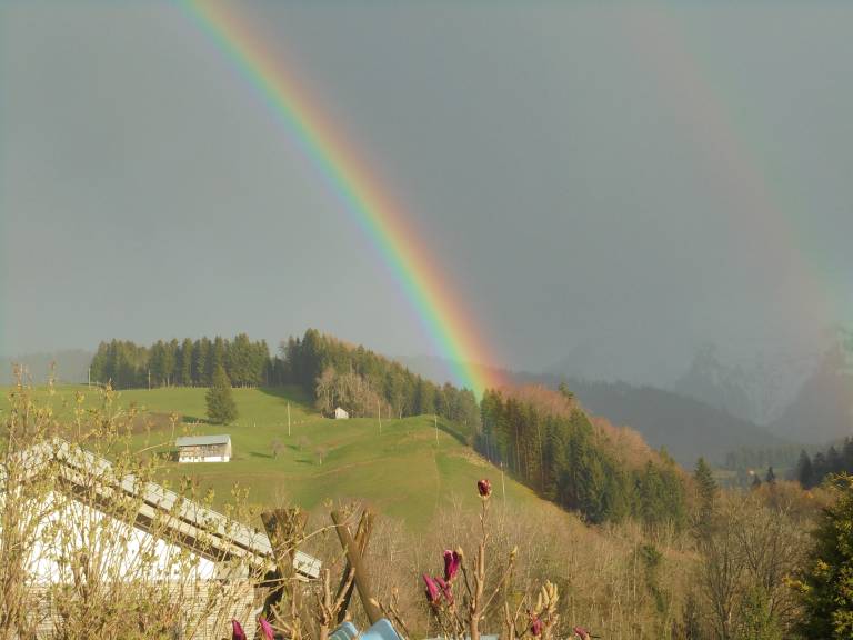 foto36