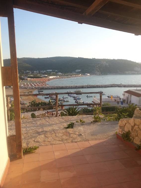 Family-oriented house with yard & terrace | Beach nearby | Dogs allowed — photo 5