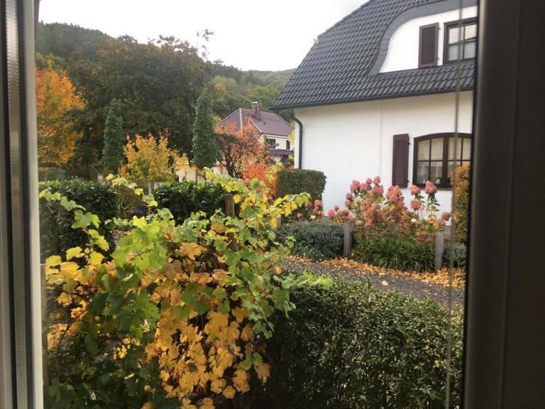 Child-friendly nice holiday apartment with patio | Pets allowed — photo 4