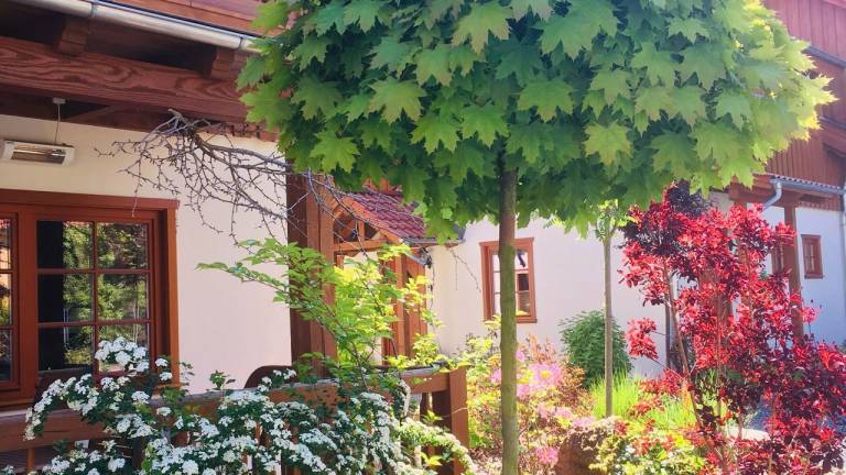 Ferienhaus  Ilsenburg (Harz)