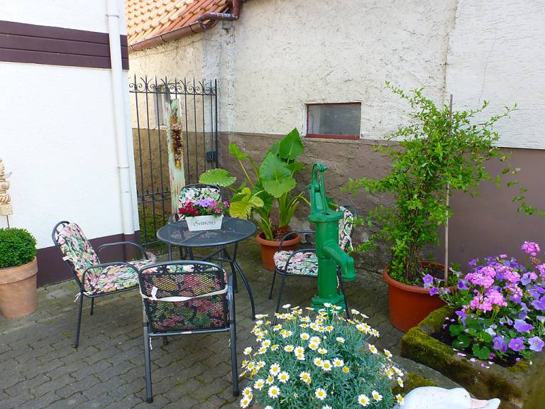 foto6