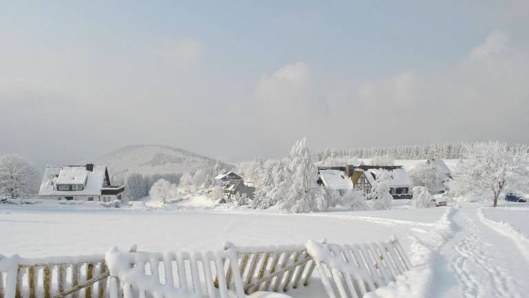 Ferienwohnung  Winterberg