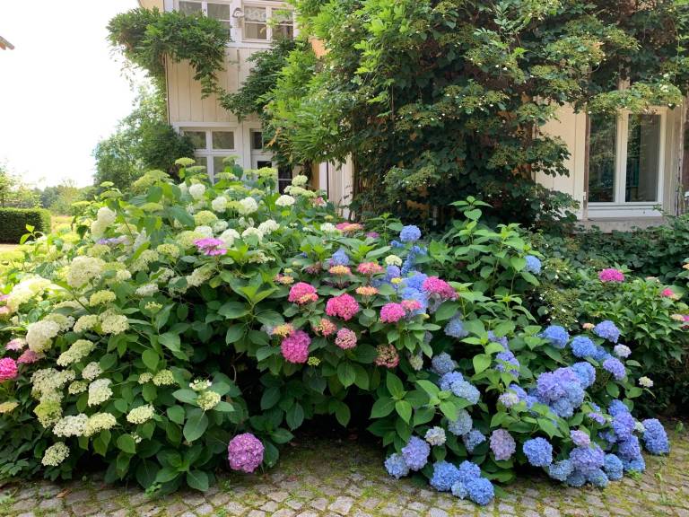 foto45