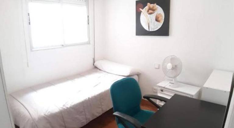Wonderful rental apartment | Dogs allowed in San Andrés