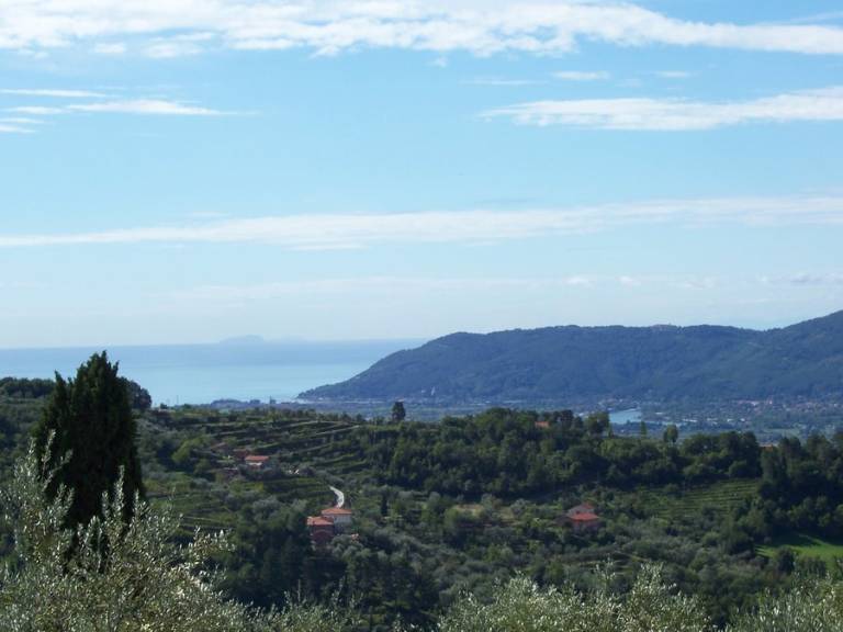 foto16
