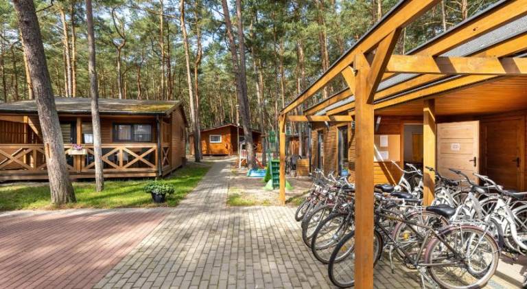 Lodge with yard, BBQ & terrace | Next to the beach | Dogs allowed — photo 4
