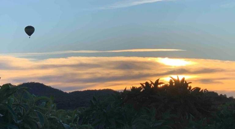 foto6