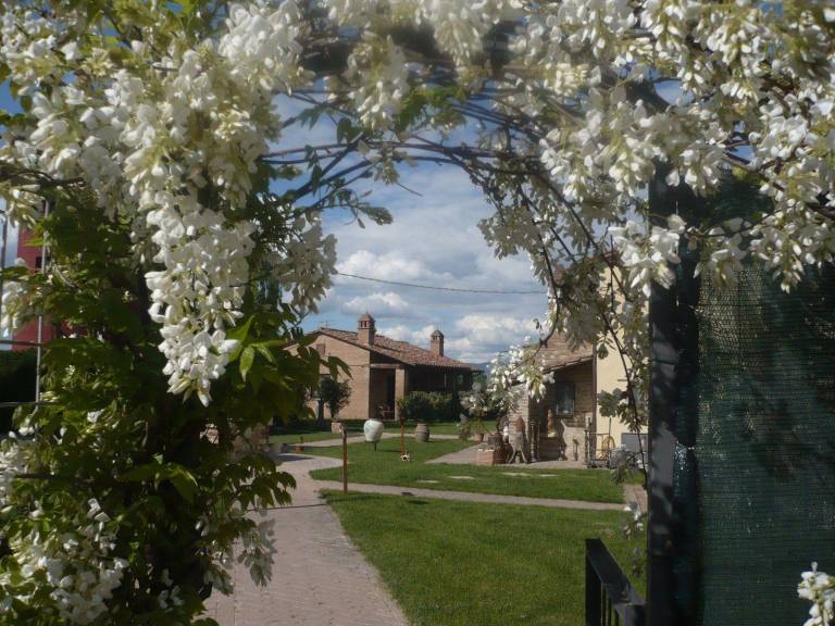 foto21