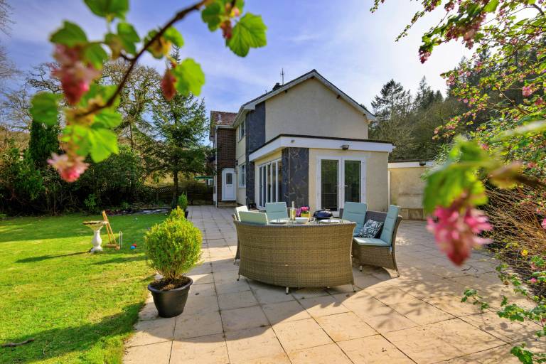 House with yard & pool | Dogs allowed — photo 4
