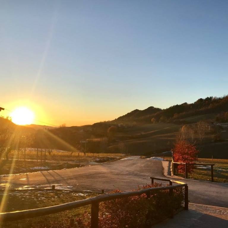 foto46