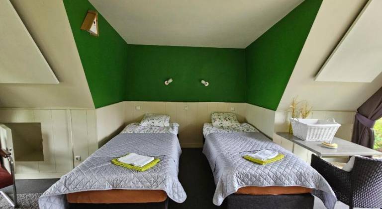 foto31