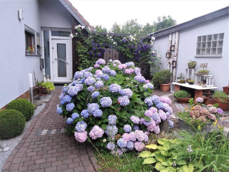 foto22