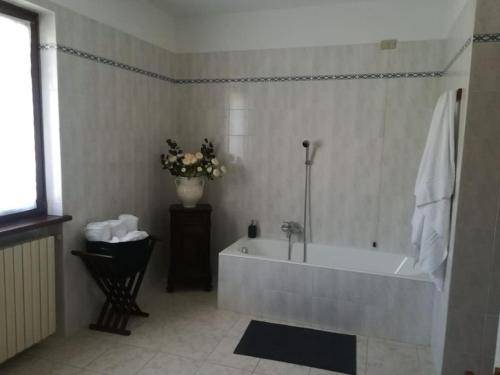foto12