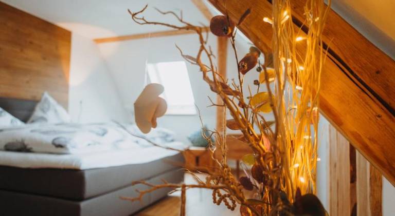 Rental apartment | Pets are welcome in Trier