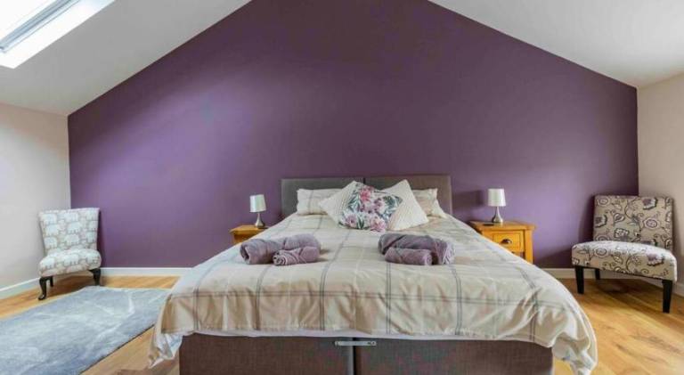 Beautiful rental apartment | Pets are welcome — photo 2