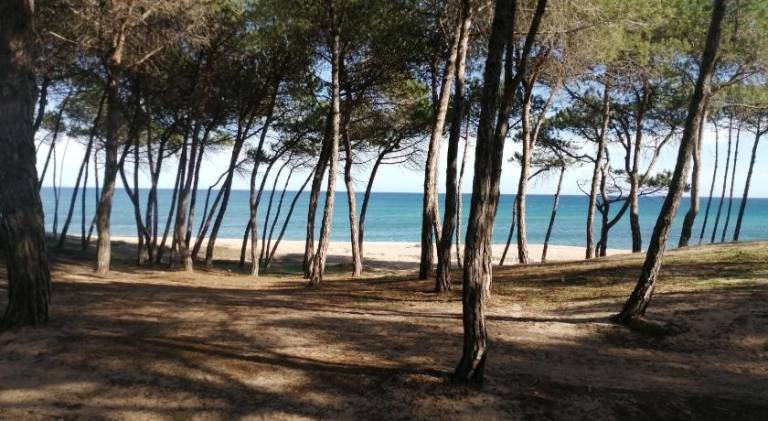 foto44