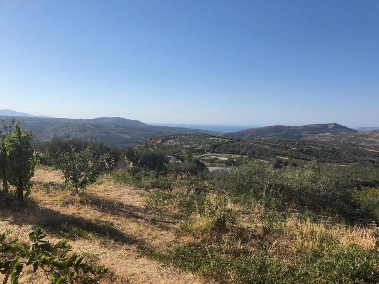 foto23