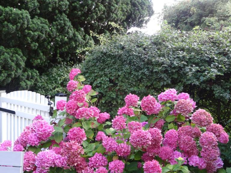 foto9