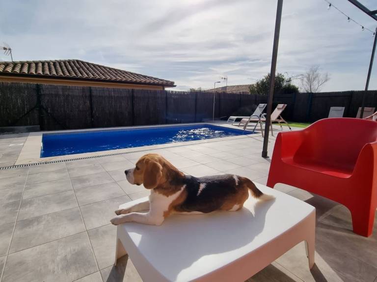Vacation home with garden, BBQ & patio — photo 4